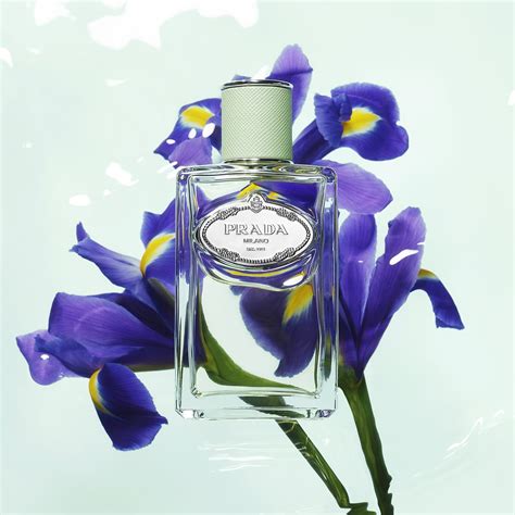 sephora prada iris perfume|prada iris perfume 100ml.